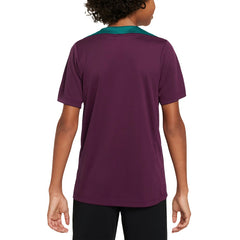 Paris Saint-Germain Youth 2024/25 Strike Training Performance Top Burgundy - Nike discount