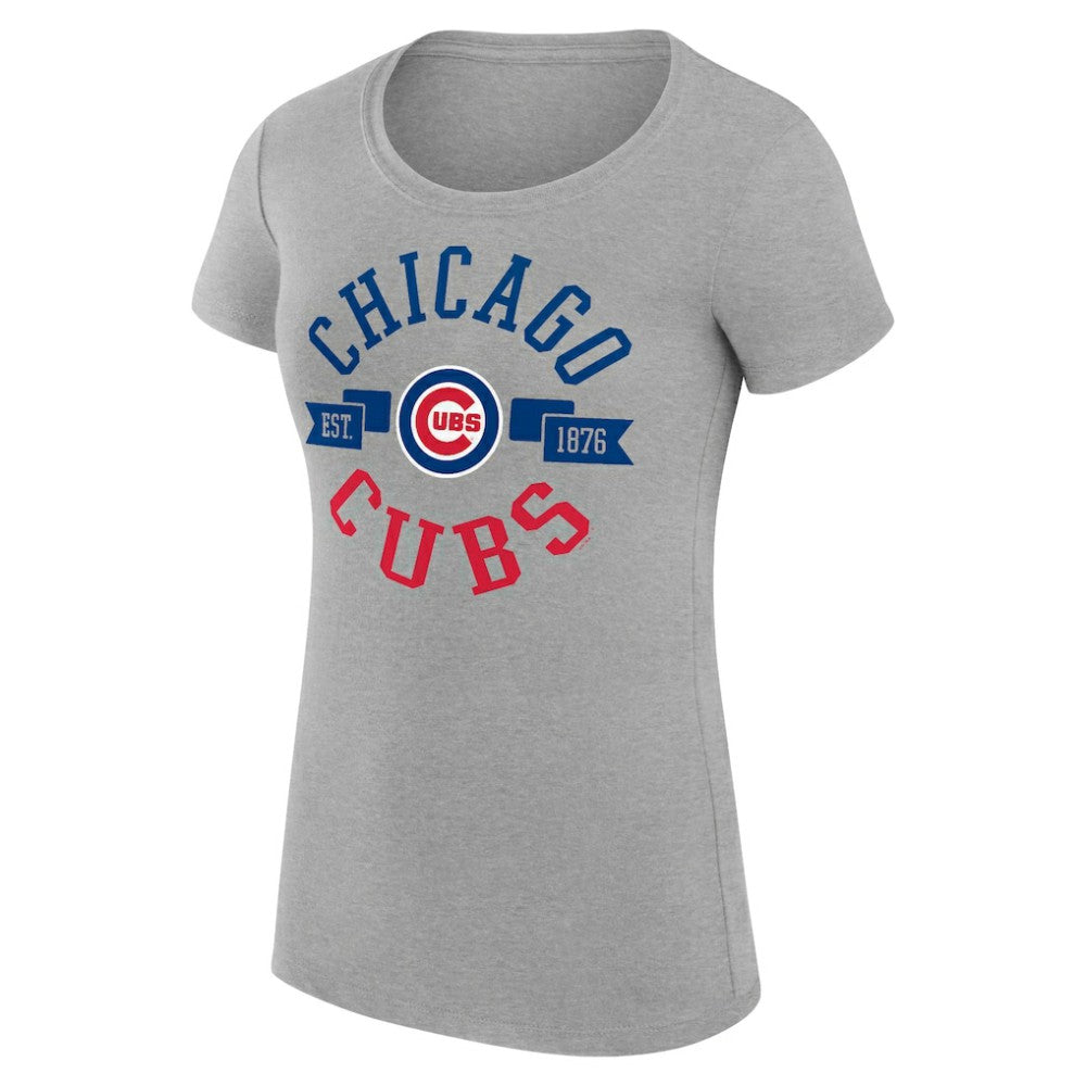 Chicago Cubs G-III 4Her by Carl Banks Women's Super-Slim Fit Lightweight City Graphic T-Shirt - Heather Gray T-shirts