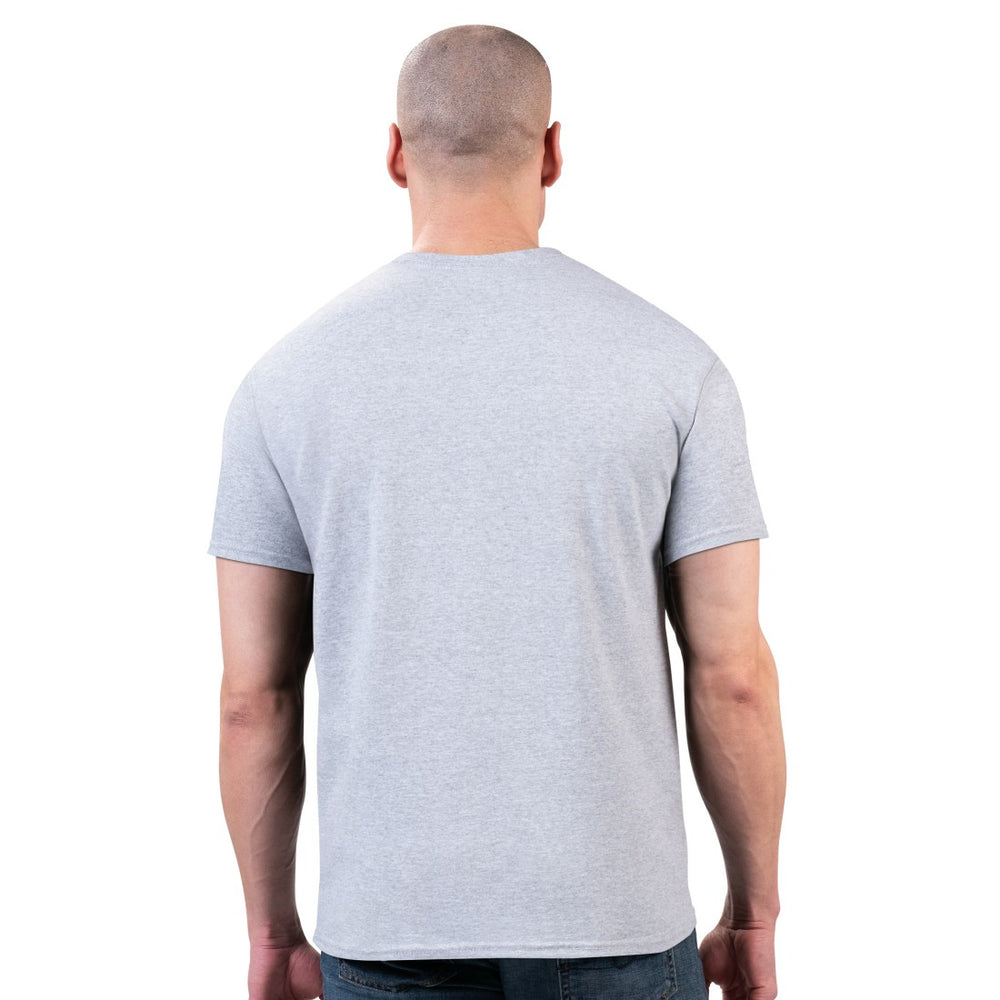 Detroit Lions Starter Logo Graphic T-Shirt - Gray T-shirts