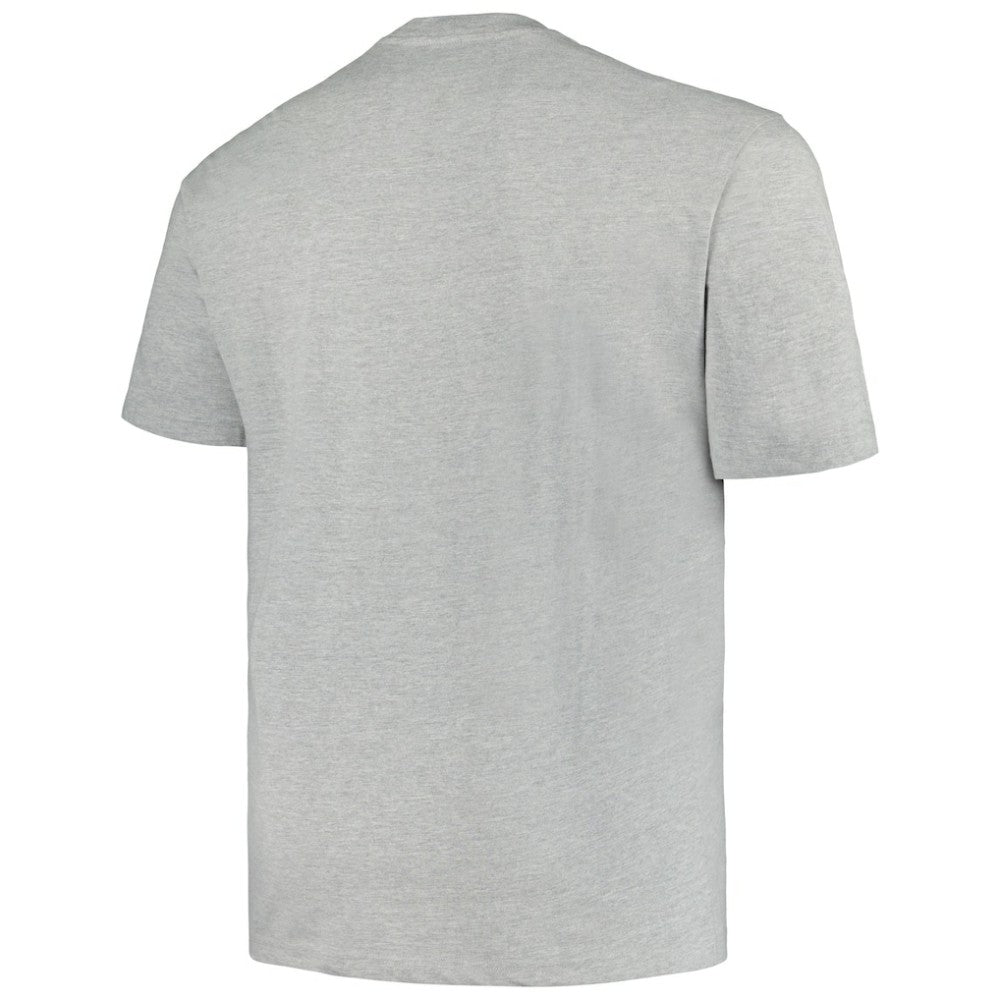 Minnesota Wild Profile Big & Tall Arch Over Logo T-Shirt - Heather Gray | US 200745660