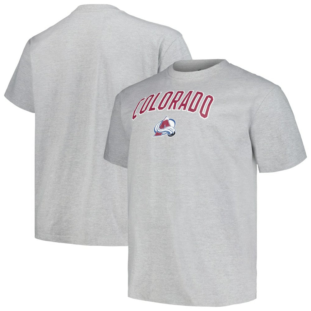 Colorado Avalanche Profile Big & Tall Arch Over Logo T-Shirt - Heather Gray | US 200745702
