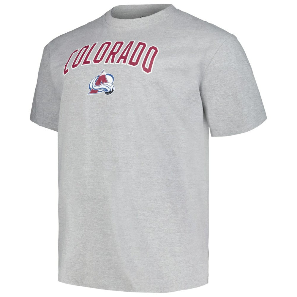 Colorado Avalanche Profile Big & Tall Arch Over Logo T-Shirt - Heather Gray | US 200745702