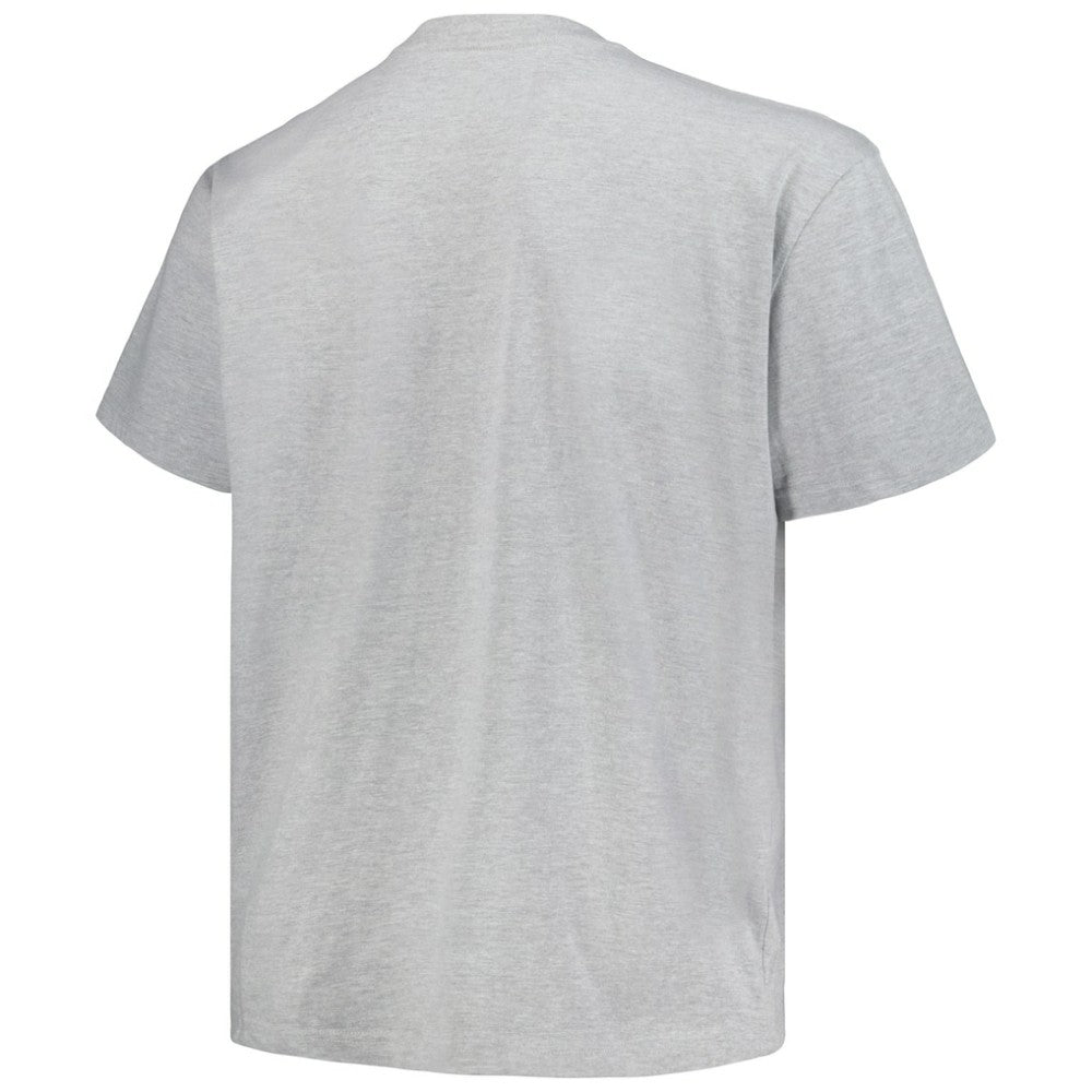 Colorado Avalanche Profile Big & Tall Arch Over Logo T-Shirt - Heather Gray | US 200745702