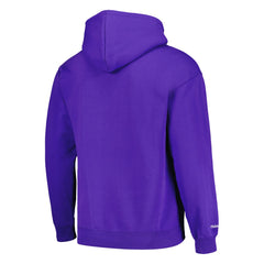 Phoenix Suns Hardwood Classics Tonal Pullover Hoodie Purple - Mitchell & Ness