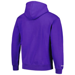 Sacramento Kings Hardwood Classics Tonal Pullover Hoodie Purple - Mitchell & Ness