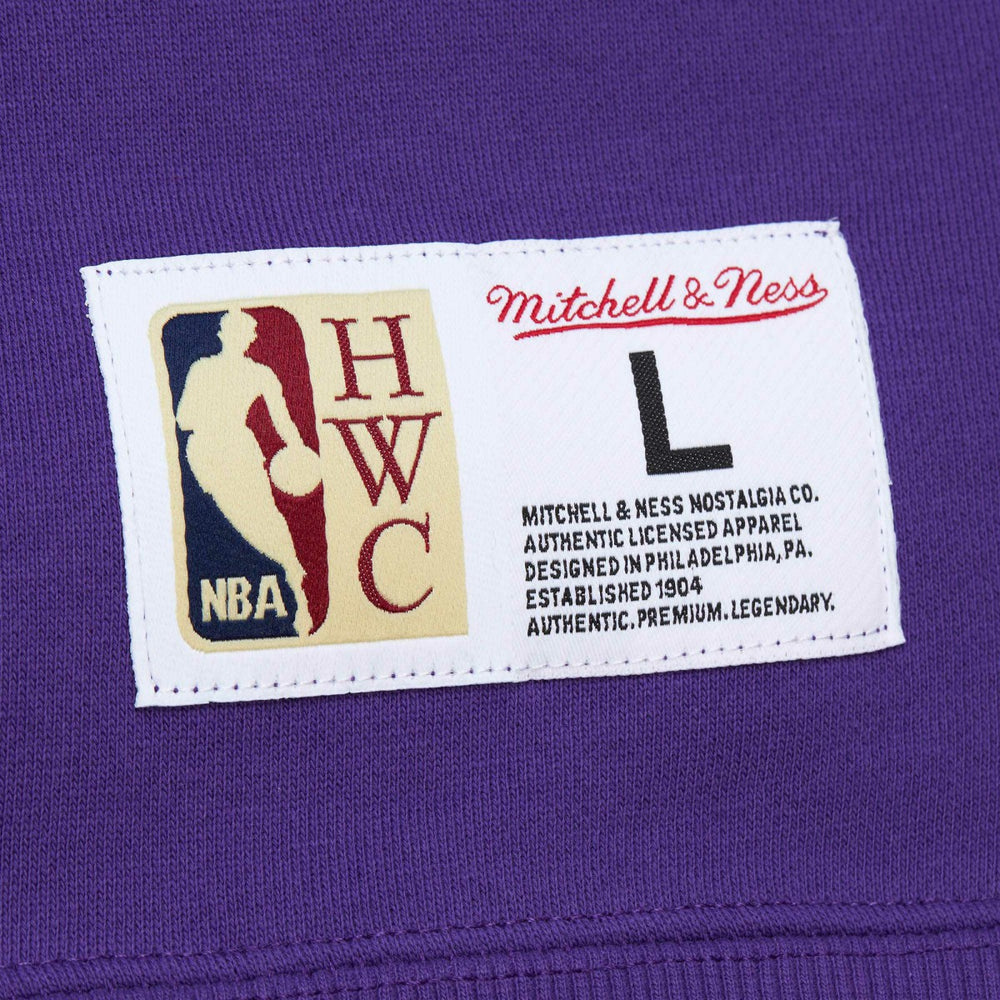 Sacramento Kings Hardwood Classics Tonal Pullover Hoodie Purple - Mitchell & Ness