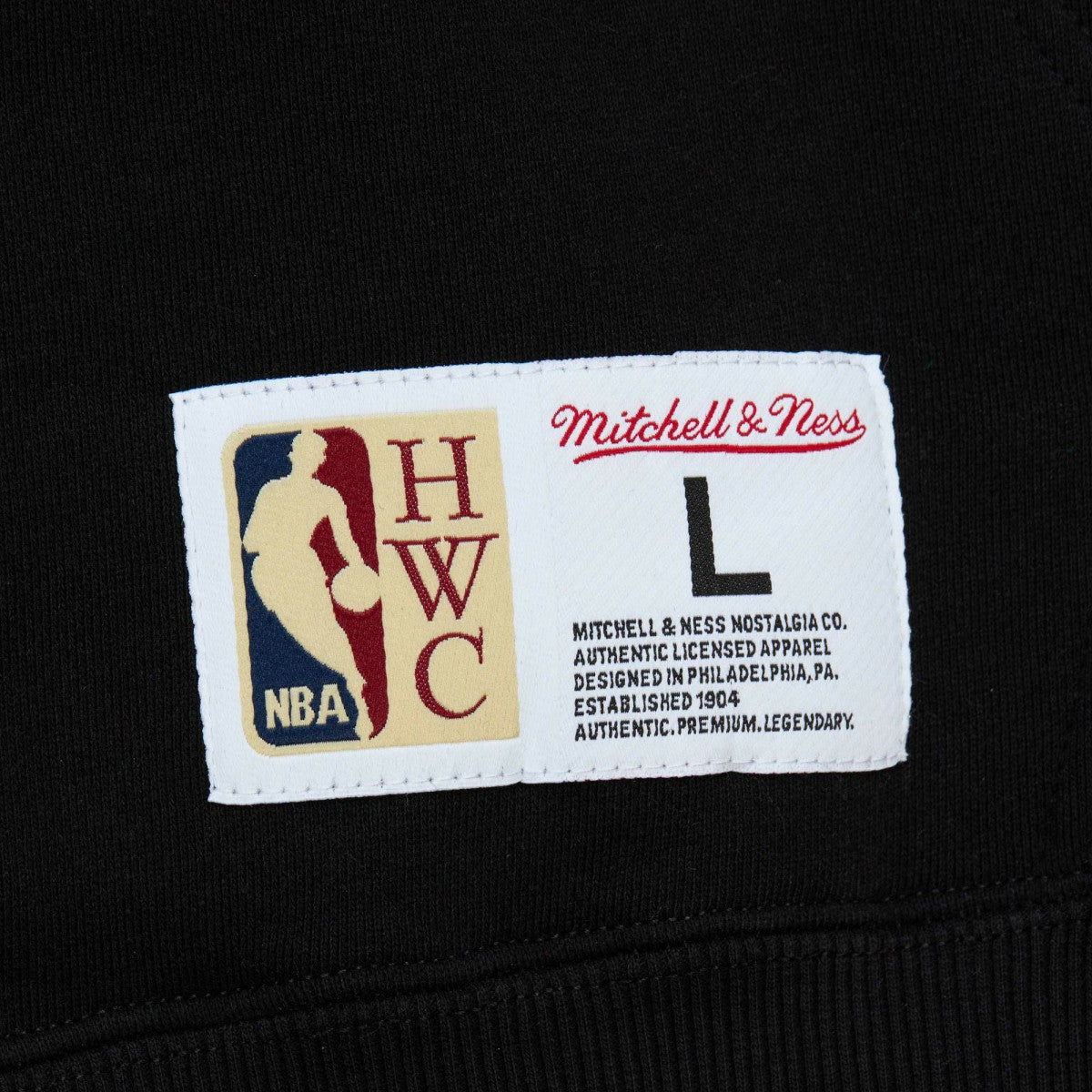 Toronto Raptors Hardwood Classics Tonal Pullover Hoodie Black - Mitchell & Ness outlet