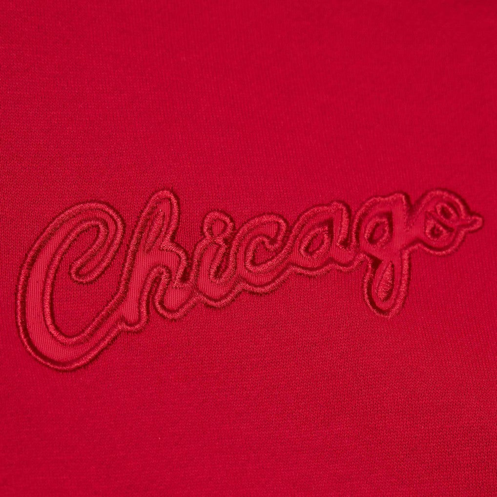 Chicago Bulls Hardwood Classics Tonal Pullover Hoodie Red - Mitchell & Ness