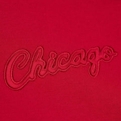 Chicago Bulls Hardwood Classics Tonal Pullover Hoodie Red - Mitchell & Ness