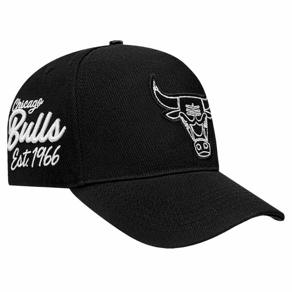 Chicago Bulls Pro Standard Paint the City Pinch Front Snapback Hat Black