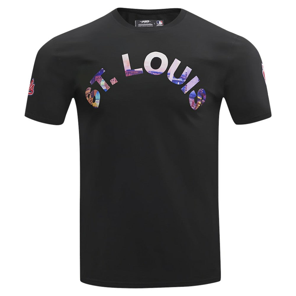 St. Louis Cardinals Pro Standard Cityscape T-Shirt - Black T-shirts