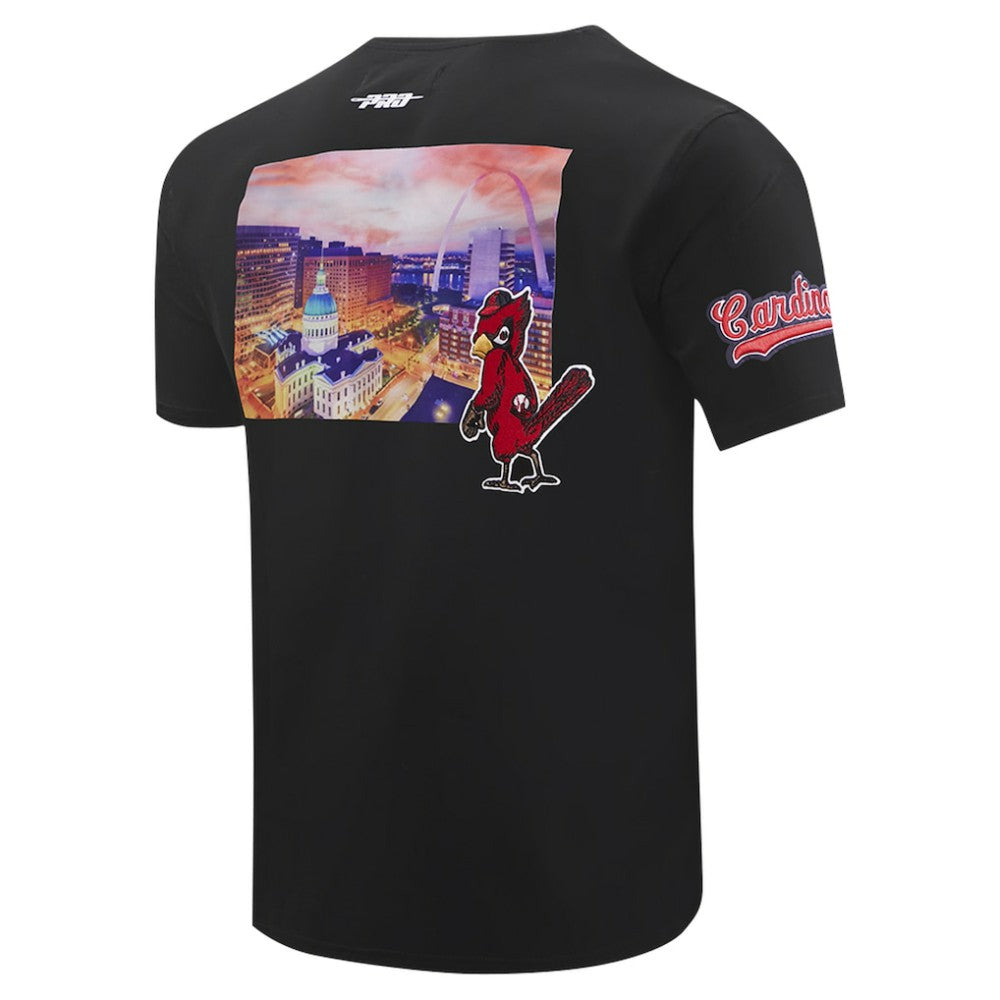 St. Louis Cardinals Pro Standard Cityscape T-Shirt - Black T-shirts