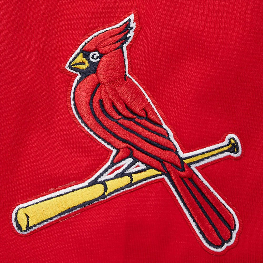 St. Louis Cardinals Pro Standard Oversized City Tour T-Shirt - Red T-shirts