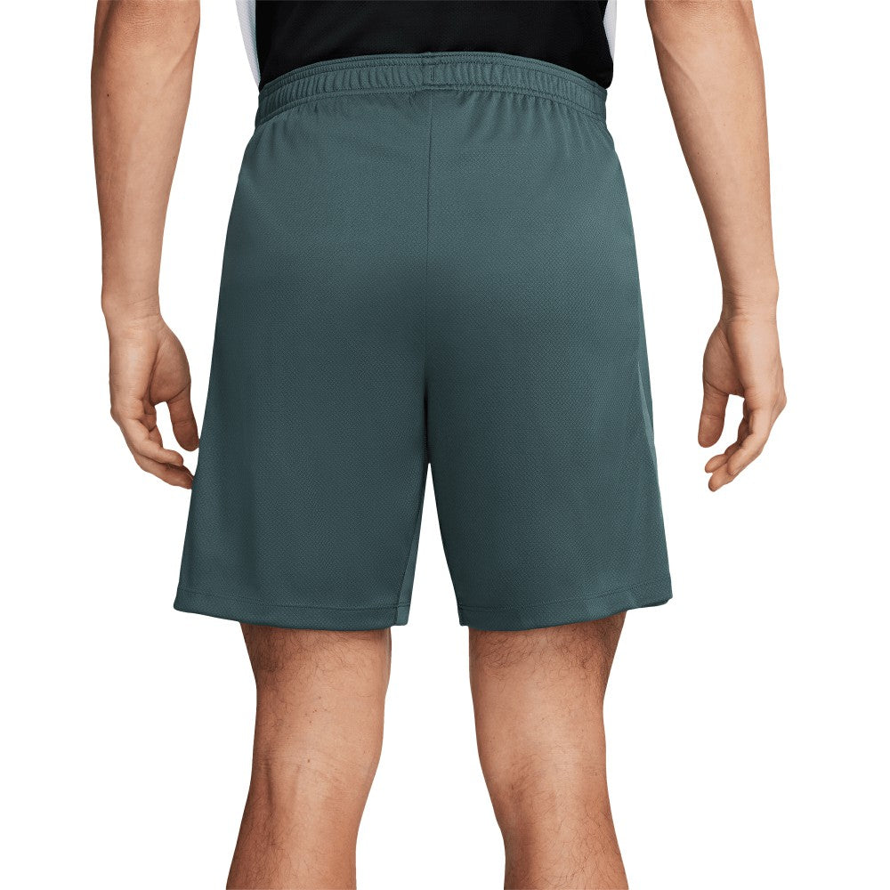 Tottenham Hotspur 2024/25 Third Strike Training Performance Shorts Green - Nike online
