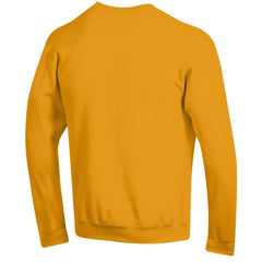 Nashville Predators Champion Eco Powerblend Crewneck Sweatshirt - Gold | US 201078091