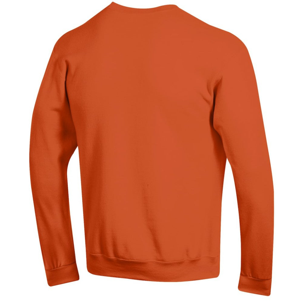Anaheim Ducks Champion Eco Powerblend Crewneck Sweatshirt - Orange | US 201078107