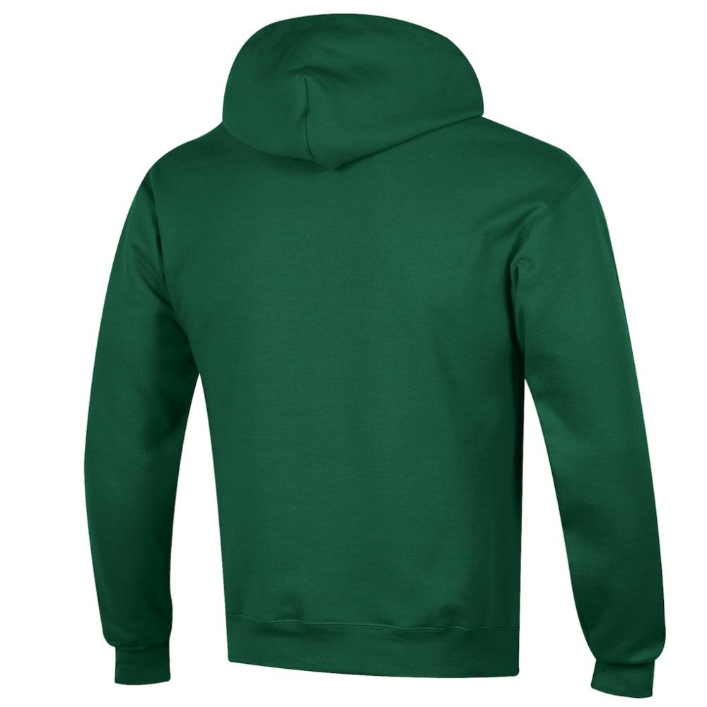 Minnesota Wild Champion Eco Powerblend Pullover Hoodie - Hunter Green | US 201078114