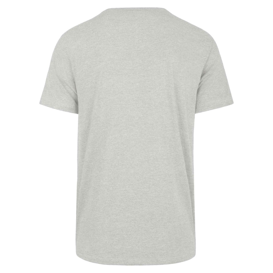 Detroit Lions '47 Regional Franklin T-Shirt - Gray T-shirts