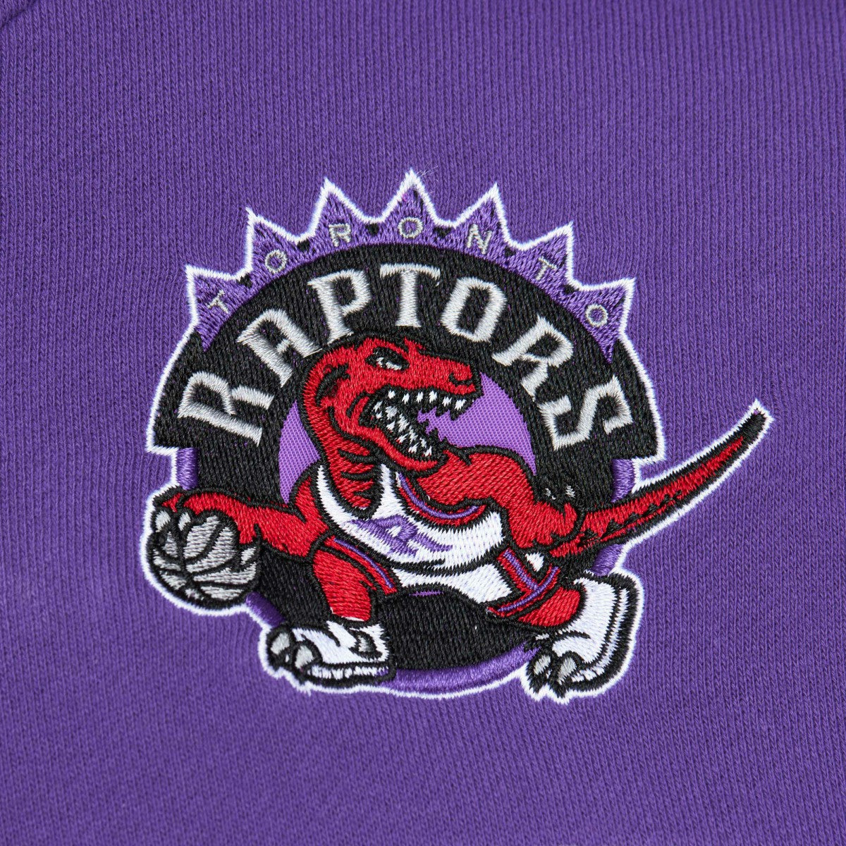 Toronto Raptors Head Coach Pullover Hoodie Red/Purple - Mitchell & Ness