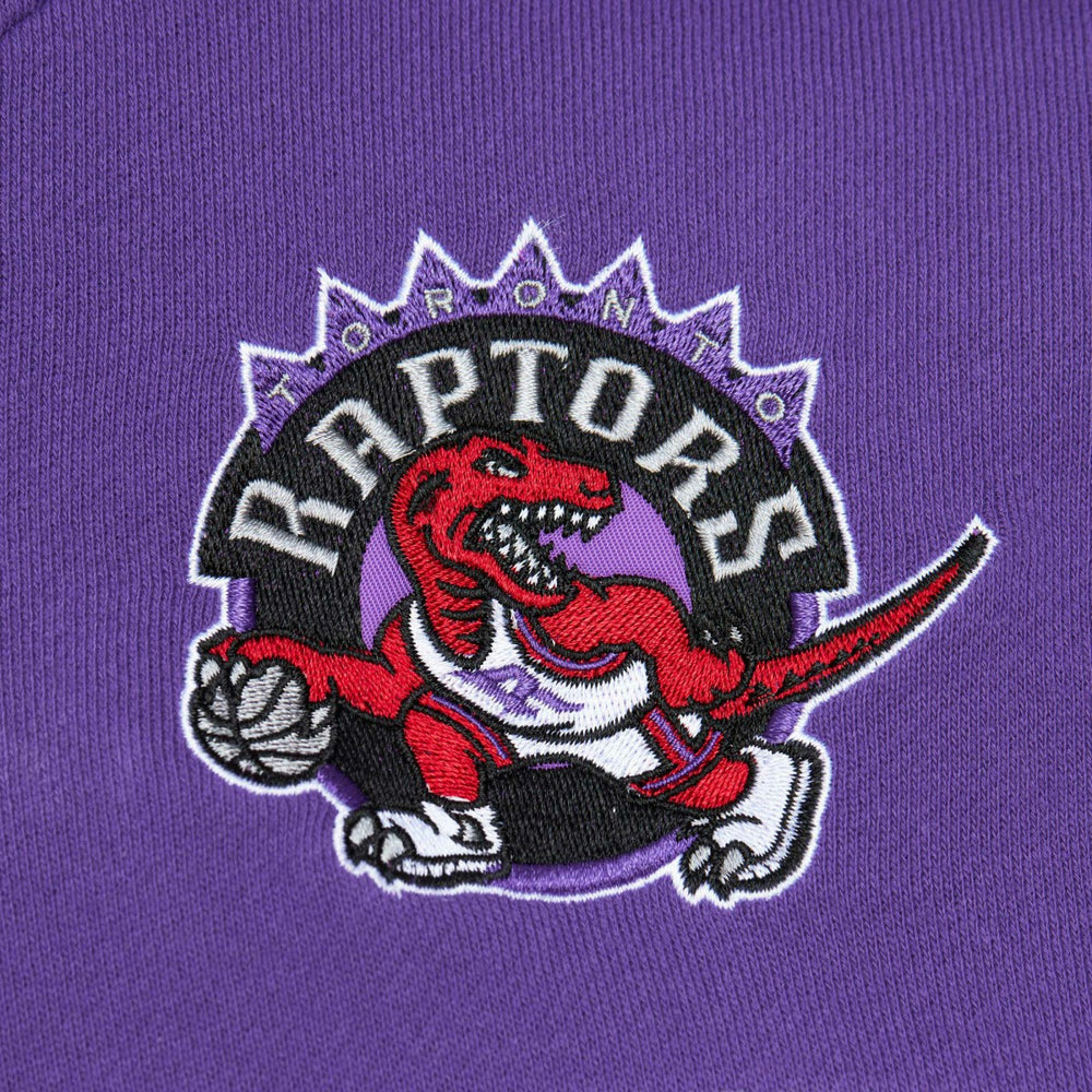Toronto Raptors Head Coach Pullover Hoodie Red/Purple - Mitchell & Ness