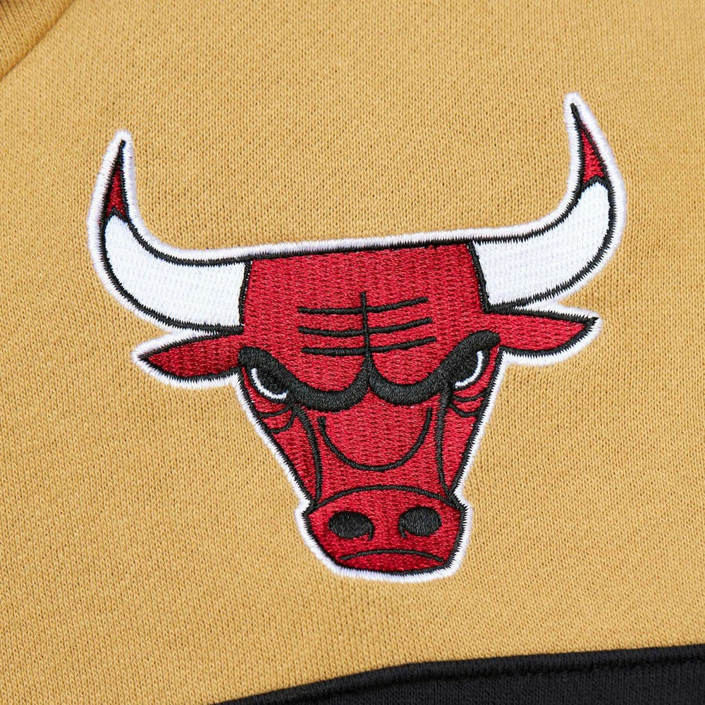 Chicago Bulls Head Coach Pullover Hoodie Red/Gold - Mitchell & Ness