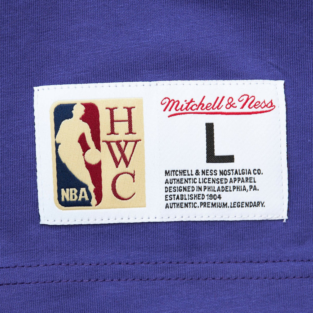 Milwaukee Bucks Hardwood Classics Team OG 2.0 Premium Vintage Logo T-Shirt Purple - Mitchell & Ness