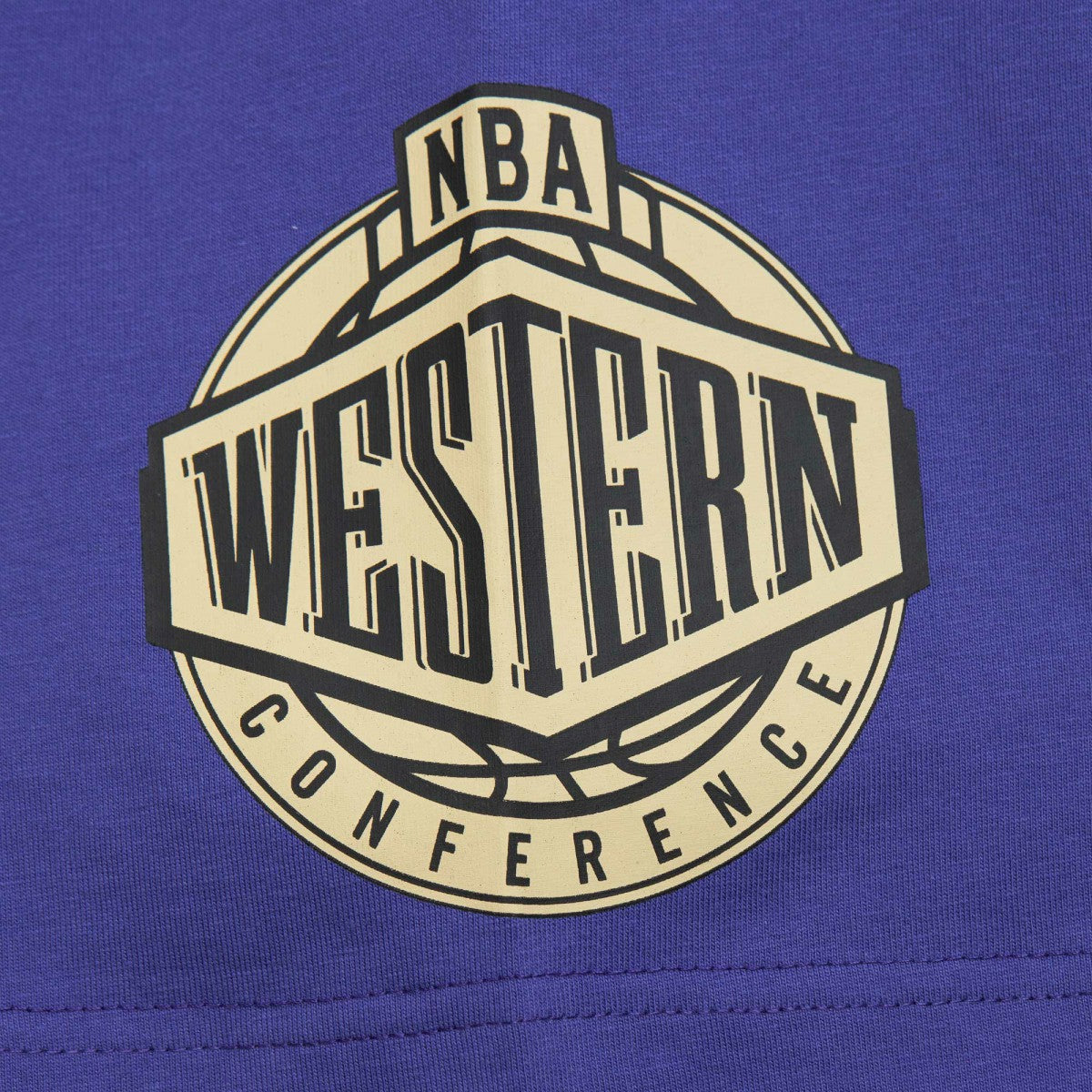 Phoenix Suns Hardwood Classics Team OG 2.0 Premium Vintage Logo T-Shirt Purple - Mitchell & Ness