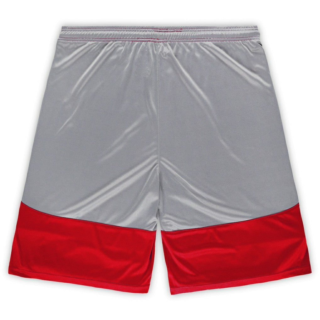 San Francisco 49ers Big & Tall Team Logo Shorts - Scarlet Shorts
