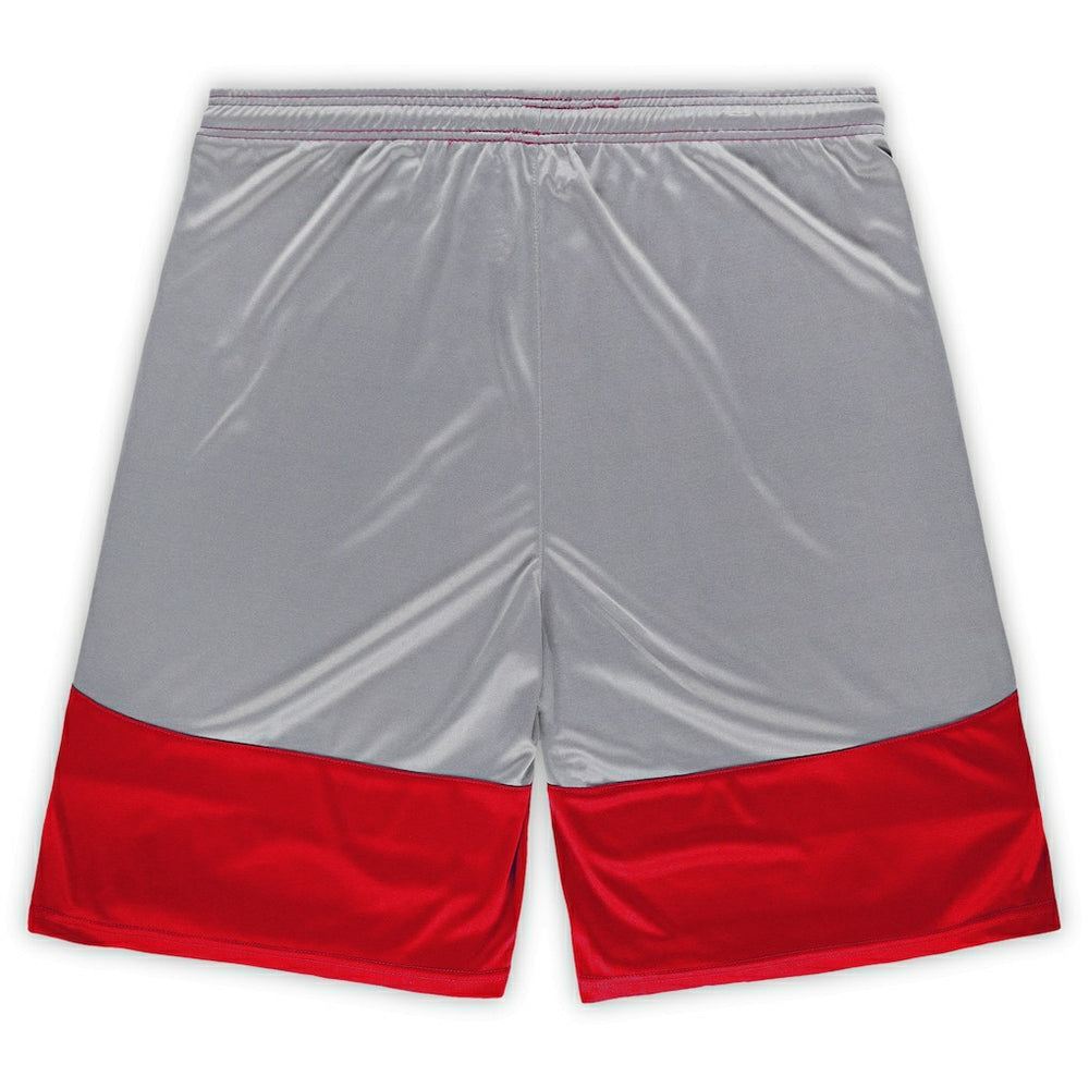 San Francisco 49ers Big & Tall Team Logo Shorts - Scarlet Shorts