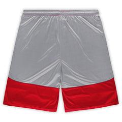San Francisco 49ers Big & Tall Team Logo Shorts - Scarlet Shorts