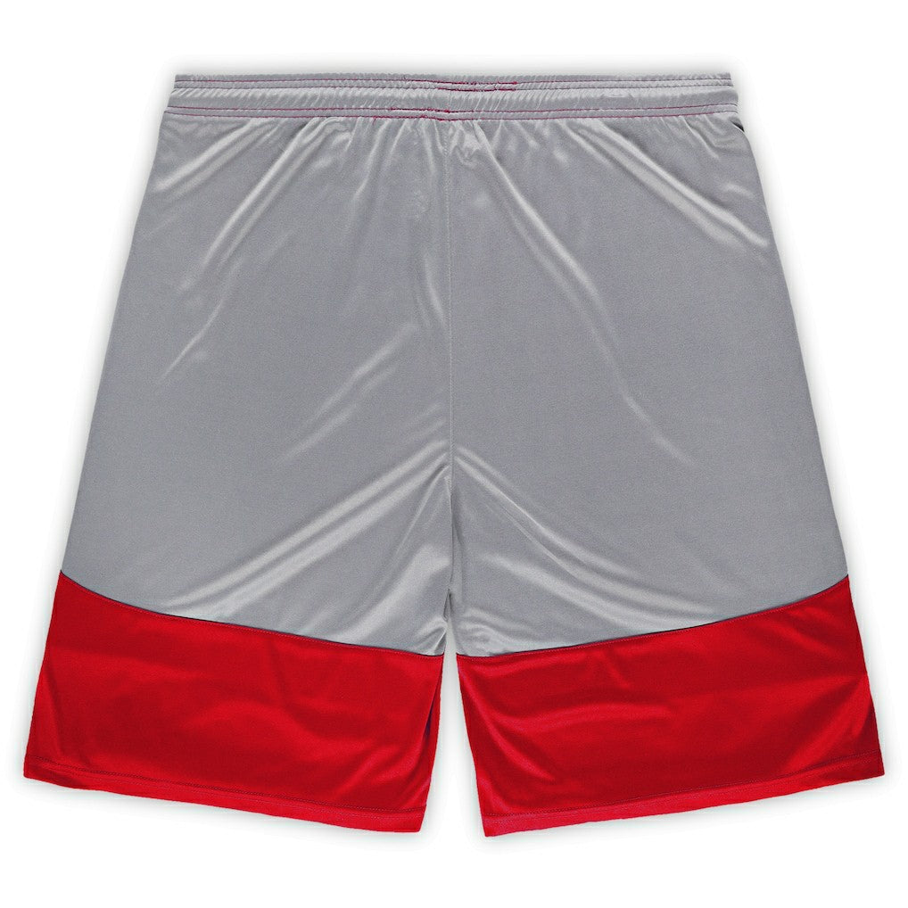 Arizona Cardinals Big & Tall Team Logo Shorts - Cardinal Shorts