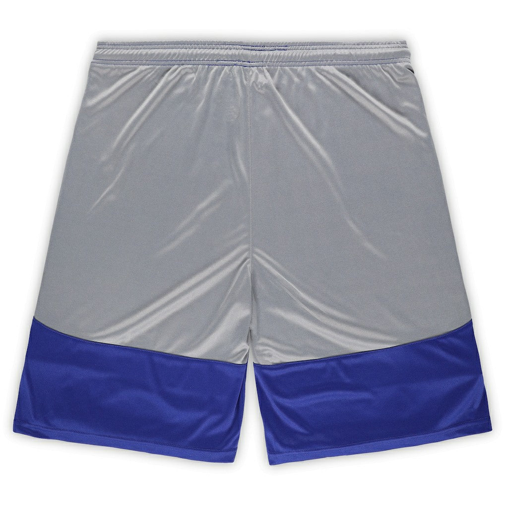 Indianapolis Colts Big & Tall Team Logo Shorts - Royal Shorts