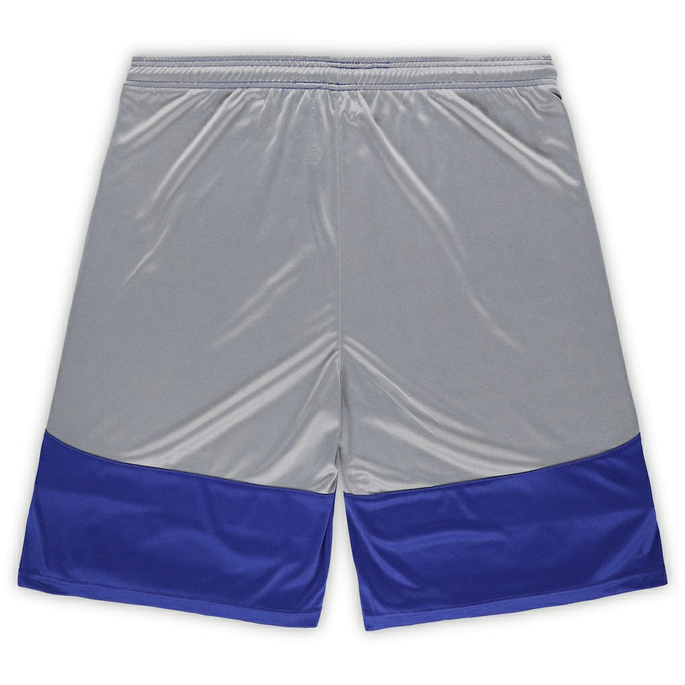 Indianapolis Colts Big & Tall Team Logo Shorts - Royal Shorts