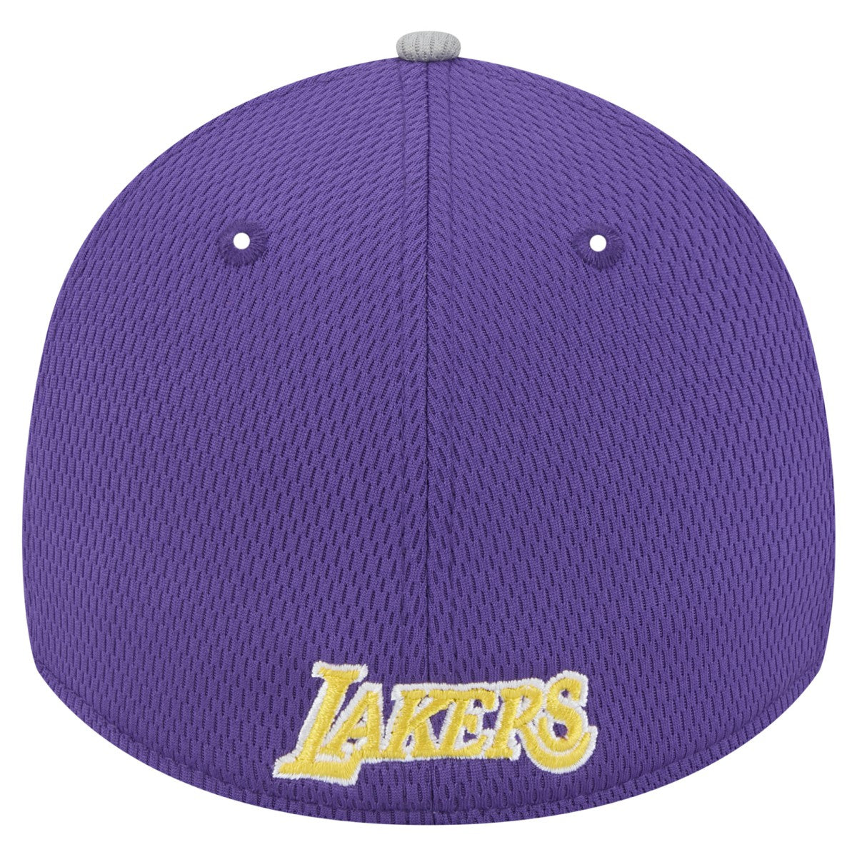 Los Angeles Lakers Active Trim 39THIRTY Flex Hat Gray/Purple - New Era