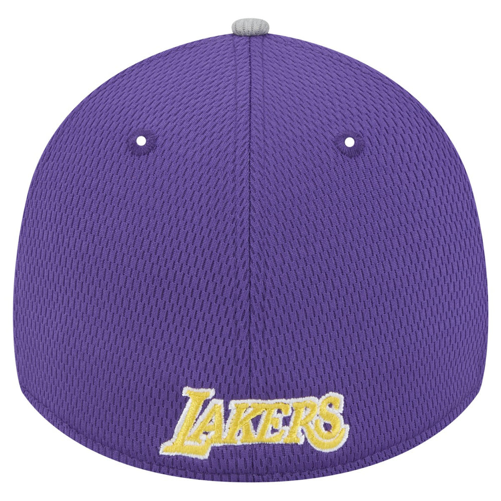 Los Angeles Lakers Active Trim 39THIRTY Flex Hat Gray/Purple - New Era