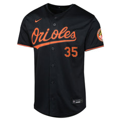 Adley Rutschman Baltimore Orioles Nike Youth Alternate Limited Player Jersey - Black Jerseys