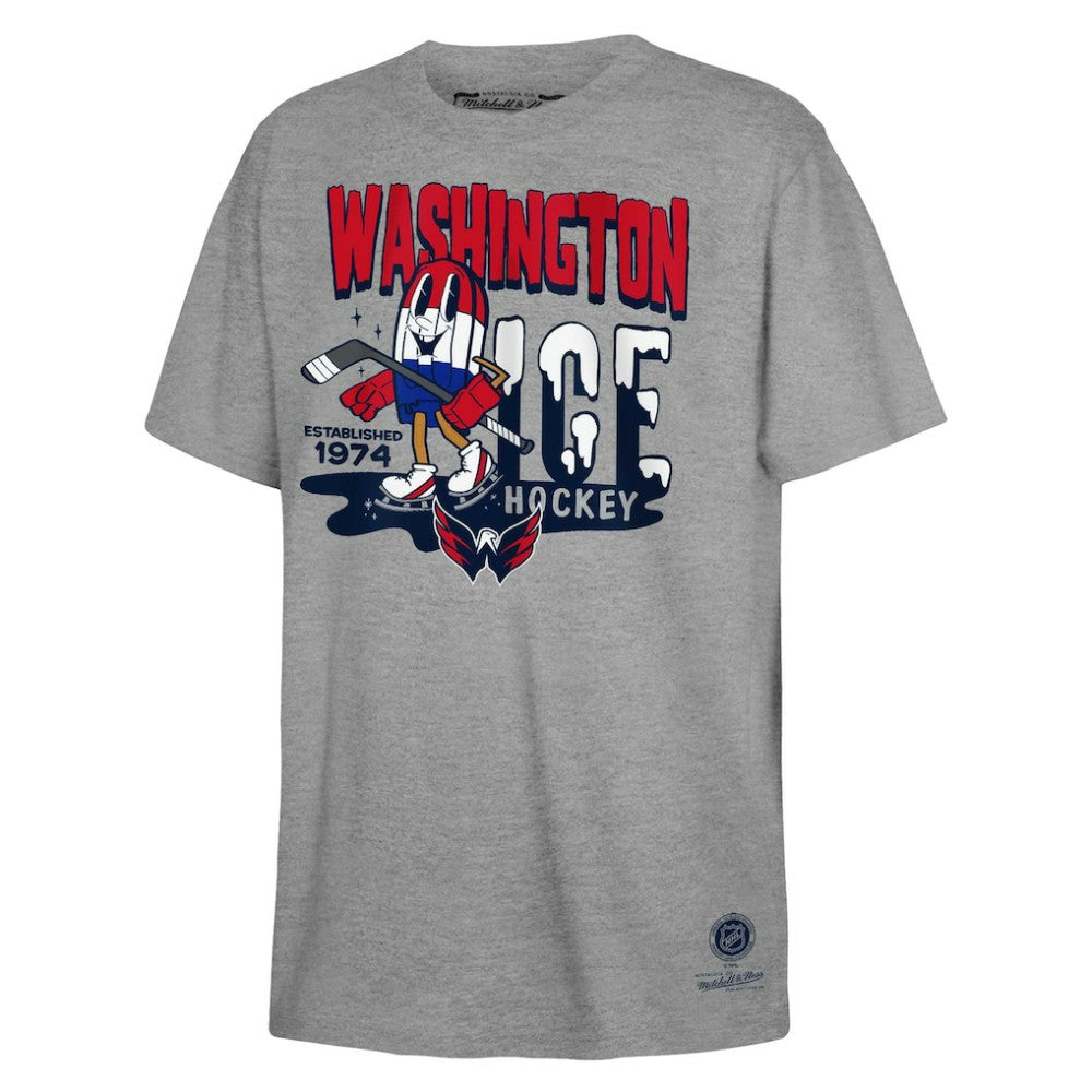Washington Capitals Mitchell & Ness Youth Ice Hockey T-Shirt - Gray | US 201166589