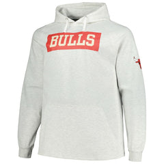 Chicago Bulls Big & Tall Raglan Tri-Blend Pullover Hoodie Ash - Fanatics