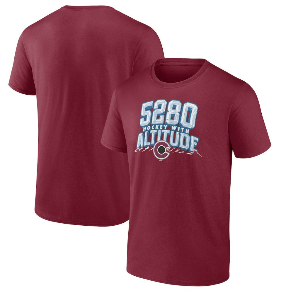 Colorado Avalanche Fanatics Local T-Shirt - Burgundy | US 201170279
