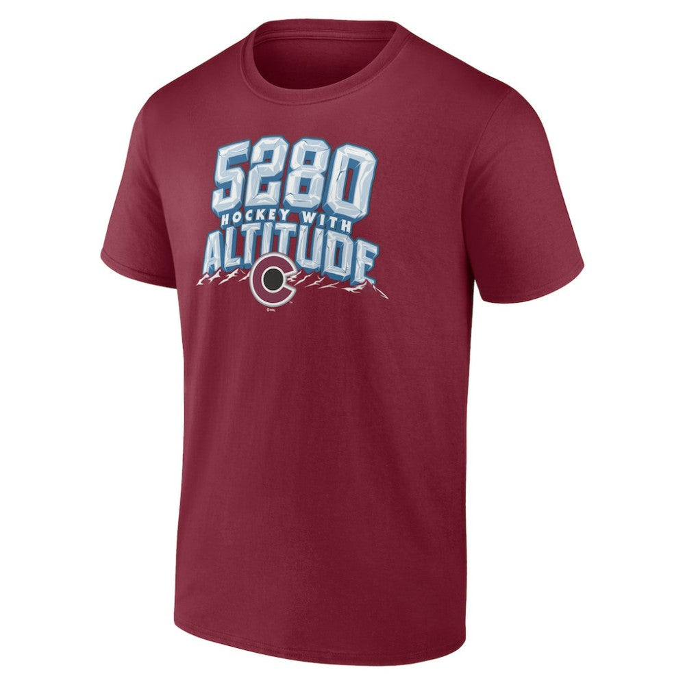 Colorado Avalanche Fanatics Local T-Shirt - Burgundy | US 201170279