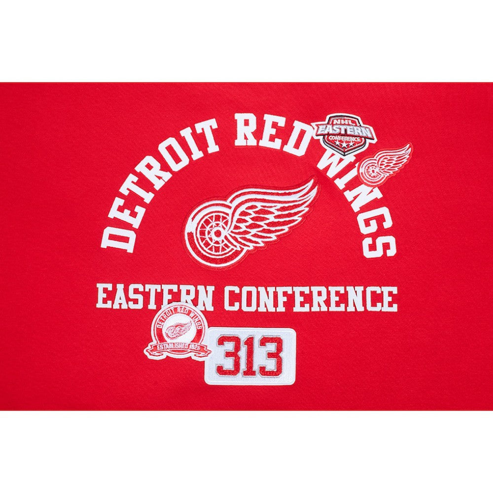 Detroit Red Wings Pro Standard Women's Area Code Cropped Pullover Sweatshirt - Red | US 201205084