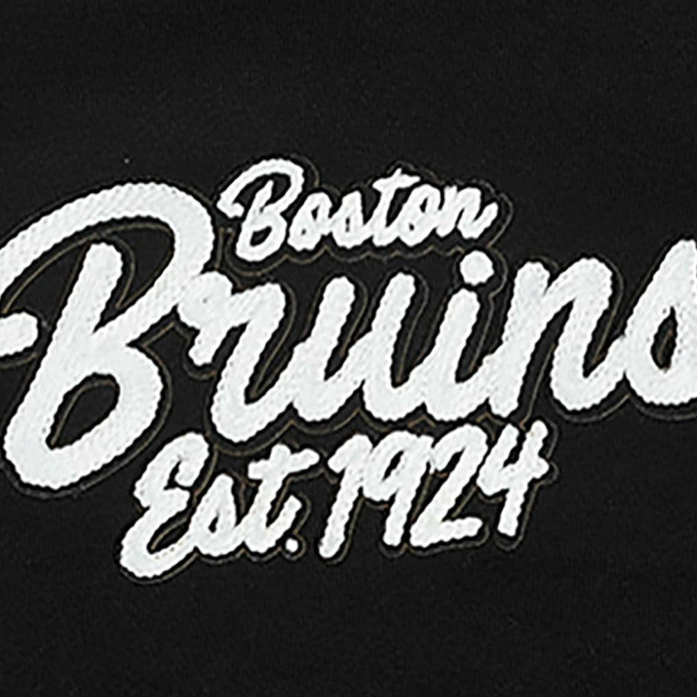 Boston Bruins Pro Standard Paint the City Pullover Hoodie - Black | US 201205123