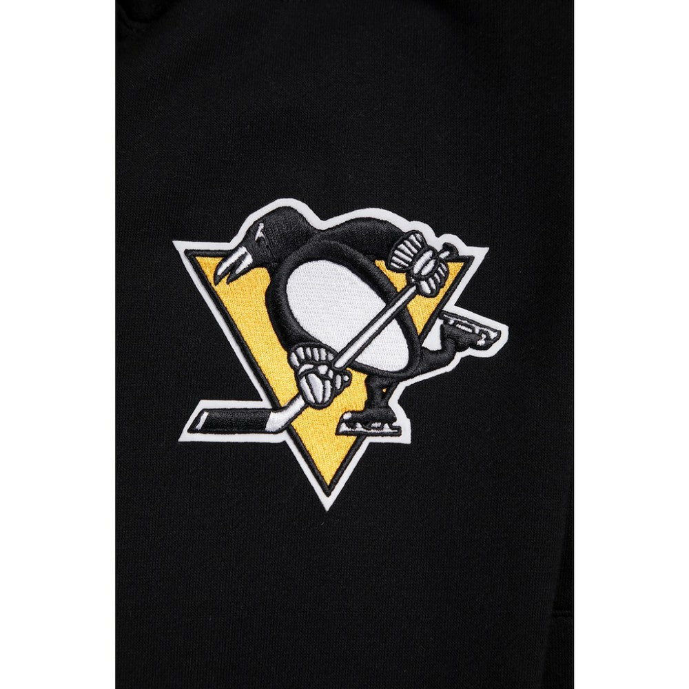 Pittsburgh Penguins Pro Standard Paint the City Pullover Hoodie - Black | US 201205146