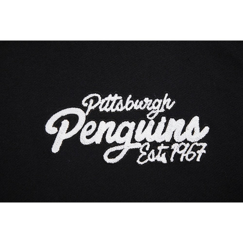 Pittsburgh Penguins Pro Standard Paint the City Pullover Hoodie - Black | US 201205146