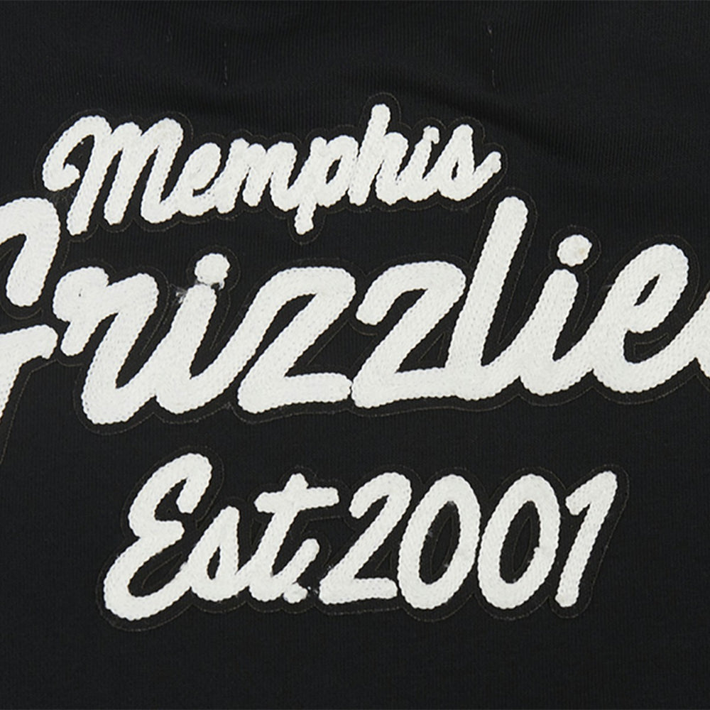 Memphis Grizzlies Pro Standard Women's Paint The City Cropped Pullover Sweatshirt Black