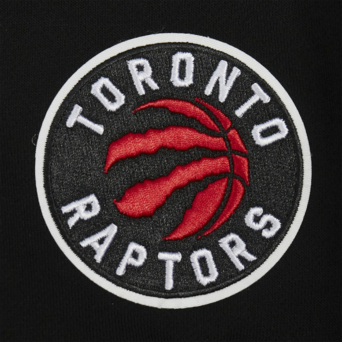 Toronto Raptors Pro Standard Women's Jewels Cropped Pullover Hoodie Black