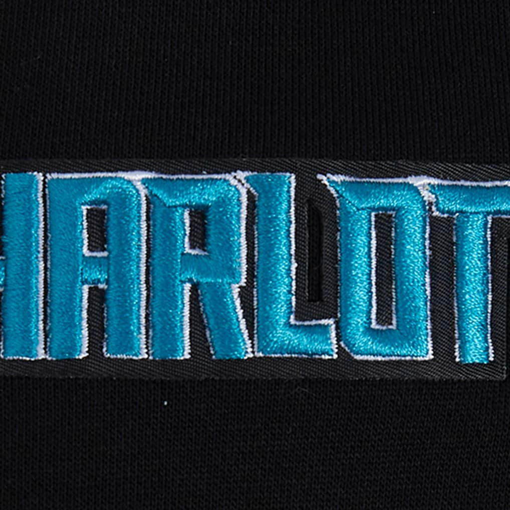 Charlotte Hornets Pro Standard Area Code Pullover Hoodie Black outlet