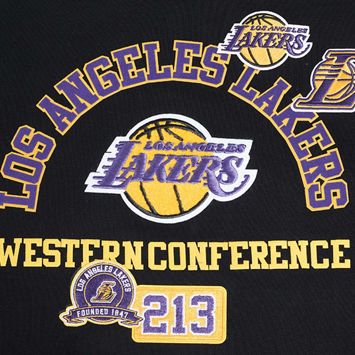 Los Angeles Lakers Pro Standard Area Code Pullover Hoodie Black