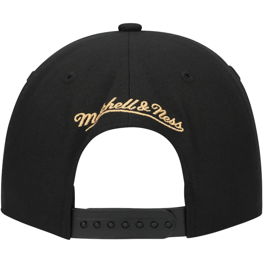 Florida Panthers Mitchell & Ness Core Team Script 2.0 Snapback Hat - Black | US 201212988