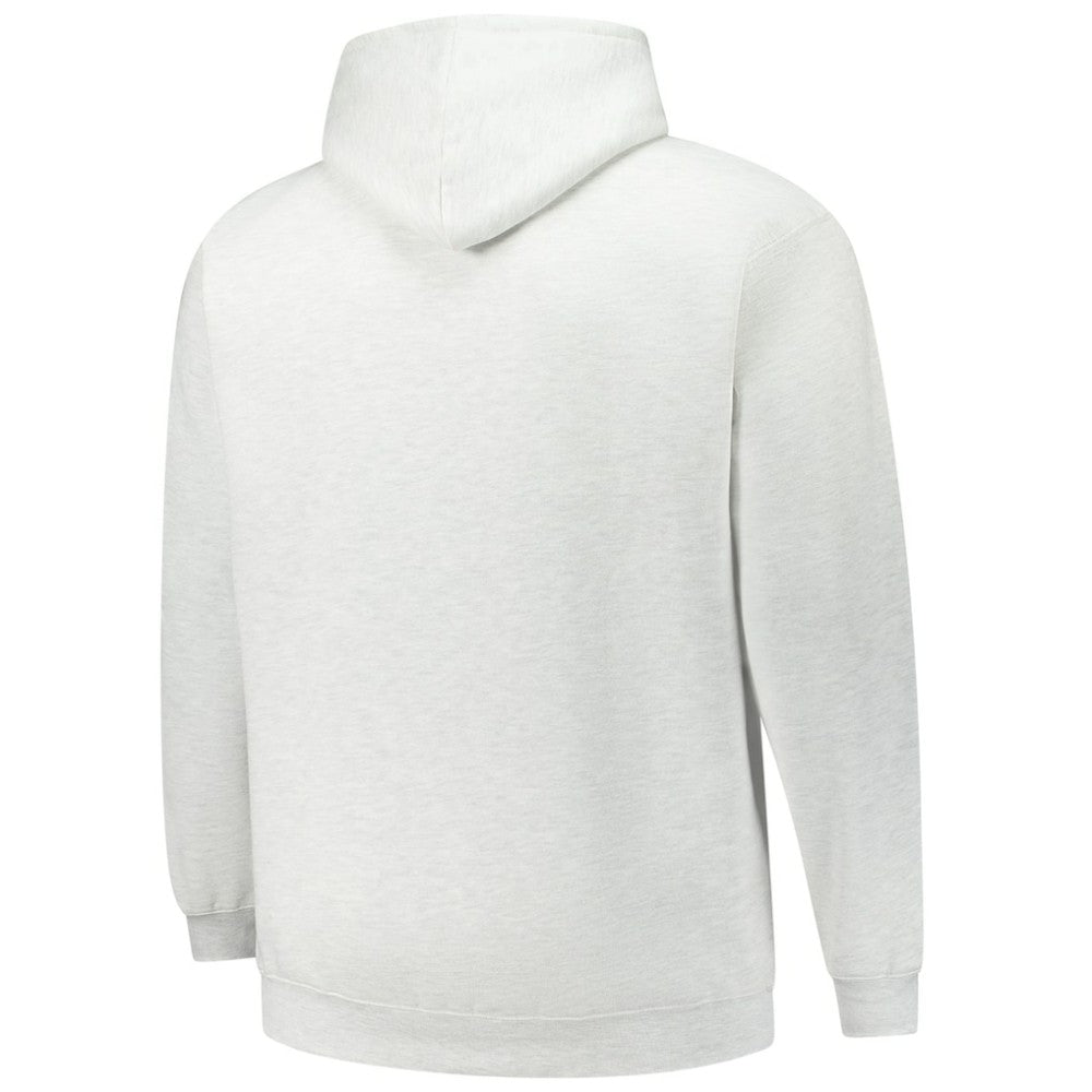 Minnesota Wild Fanatics Big & Tall Fleece Pullover Hoodie - Heather Gray | US 201302786